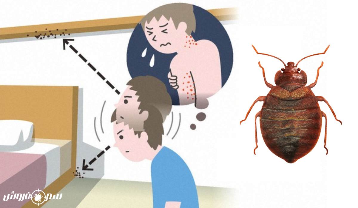 علایم ساس در منزل